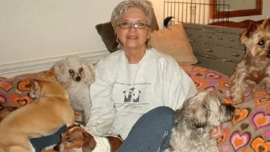 Photo of Amazing Woman Opens Ret1rement Home For Senior Dogs