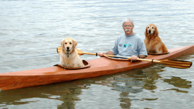 Photo of This Man Built A Custom Kayak So That His Dogs Could Participate In His Hobby
